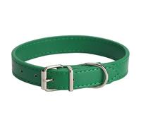 Collier multicolore pour animaux de compagnie | Collier réglable toutes saisons pour chiens et chats, design simple pour chiens de petite, moyenne et grande taille (vert, 1 x 25 cm)