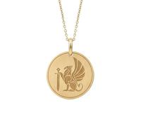 Collier pendentif griffon en argent sterling 925 doré | LK_NLC_00270 | Pendentif médaillon rond plaqué or de 28 mm avec chaîne câble de 45 cm symbole céleste rose des vents pièce de monnaie