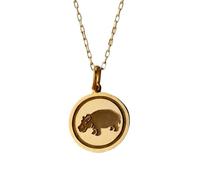 Collier pendentif hippopotame en argent sterling 925 doré | LK_NLC_00944 | Médaillon astrologique rond de 24 mm avec pendentif en forme de pièce céleste polie symbole astrologique.