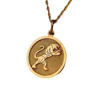 Collier pendentif tigre en argent sterling 925 plaqué or | LK_NLC_01476 | Collier avec médaillon tigre rond de 24 mm et chaîne câble de 45 cm bijou symbole de force et de puissance animale cadeau