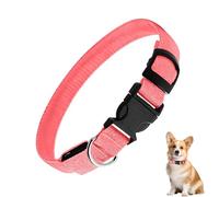 Collier Pour Animal De Compagnie - Bande De Sécurité Réfléchissante, Ajustement Confortable Réglable, Matériau Imperméable Durable, Fonction D'éclairage LED | Promenades Pour Chiens En Soirée De Vacan