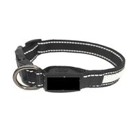 Collier pour Animaux Ajustable Ensemble de Colliers LED Multicolores for Animaux Compagnie, 2 pièces, Laisse en Nylon for Chiens, Marche Nocturne, Plusieurs Tailles(Heptachrome,30-40cm)