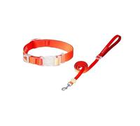 Collier pour Animaux Ajustable Ensemble de Laisse Collier Chien ombré irisé 2 pièces Multicolore S/M(Red Set,S Neck 25-37cm)
