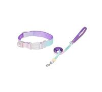 Collier pour Animaux Ajustable Ensemble de Laisse Collier Chien ombré irisé 2 pièces Multicolore S/M(Purple Set,S Neck 25-37cm)
