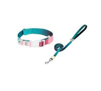 Collier pour Animaux Ajustable Ensemble de Laisse Collier Chien ombré irisé 2 pièces Multicolore S/M(Green Set,S Neck 25-37cm)