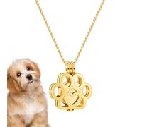 Collier pour cendres d'animaux de compagnie - Médaillon commémoratif en acier inoxydable | Bijoux de crémation pour animal de compagnie, récipient commémoratif, pour perte de mémoire, maison, femme