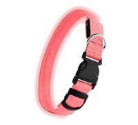 Collier pour chien - 49,29 x 2,5 cm - Collier lumineux pour chiens âgés | Pour la marche de nuit, les voyages, les vacances, l'entraînement, la cour, l'aventure, le camping, la randonnée | Excellente