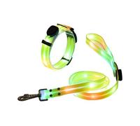 Collier pour chien à LED, collier pour animaux respirant avec trois modes, collier pour chien imperméable, bande de nuit pour chien rechargeable par USB pour promenades nocturnes au camping avec Can