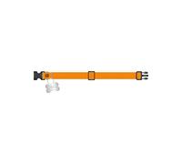 Collier pour chien Alpha Industries Basic Orange M