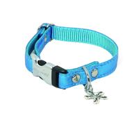 Collier pour chien Alter Ego Disco Turquoise S (15/23-33 cm)