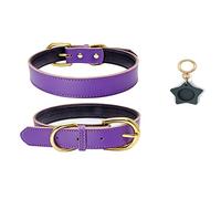 Collier pour chien avec AirTag Basic Classic en cuir pour chats, chiots et chiens de petite et moyenne taille, violet, taille L