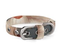 Collier pour chien avec boîte - Réglable - Doux et confortable - Avec boucle en métal - Pour animaux de compagnie de petite et moyenne taille