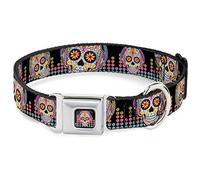 Collier pour Chien avec Boucle de Ceinture de sécurité Tranquility Beats Calaveras Floral Equalizer Noir Multi 23,9 à 38,1 cm 2,5 cm de Large