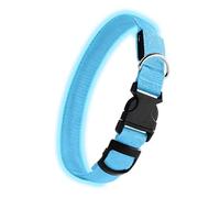 Collier pour Chien avec Lumière - Collier Réfléchissant pour Animaux De Compagnie | Lumière Étanche pour Chien pour La Marche, Éclairage Clignotant, pour Chiens, Chargement USB, Bleu, Vert, F