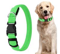 Collier pour Chien avec Lumière | Décoration Réfléchissante Réglable - Collier Lumineux pour Chiens Âgés | pour Camping Randonnée Marche Voyage Vacances Entraînement Cour Aventure