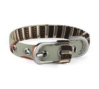 Collier pour chien avec microphone et note de musique réglable doux et confortable avec boucle en métal pour animal domestique de petite et moyenne taille