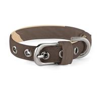 Collier pour chien avec photo géographique réglable pour chiens et chats de petite et moyenne taille