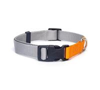 Collier pour Chien avec Sangle réglable, résistant et Confortable, idéal pour Les promenades, l'entraînement et la sécurité des Animaux.