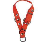 Collier pour chien Blaser Professional Orange XS