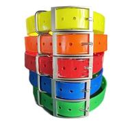 Collier pour chien compatible avec Garmin T20, TT25, T5, TT10, TT15, DC50 - 2,5 cm - En nylon imperméable - Sangle de rechange pour entraînement, colliers GPS, récepteurs, émetteurs, antenne - Laisse