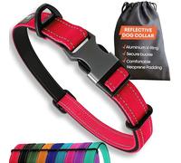 Collier pour Chien de Taille Moyenne - Rouge réfléchissant réglable rembourré - Anneau en V en Aluminium - Sécurité pour Chien