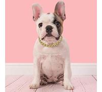Collier pour Chien de Taille Moyenne SM, Accessoires de Bijoux pour Animal de Compagnie Teddy Bulldog, Ce Collier pour Chien de Compagnie. The Polis Golden Collier pour