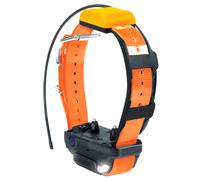 Collier pour chien Dogtra Pathfinder 2 Orange 33,5x26x10 cm