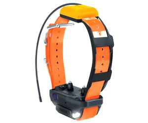 Collier pour chien Dogtra Pathfinder 2 Orange 33,5x26x10 cm
