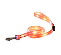Collier pour chien éclairé - Collier pour chien illuminable rechargeable | Pincée de chien à LED | Collier pour animaux de compagnie rechargeable avec 3 modes | Colliers de lueur réglables pe