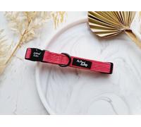 Collier pour Chien en Cordon Rose XS