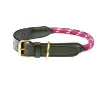 Collier pour chien en cuir corde Weatherbeeta Rouge XL