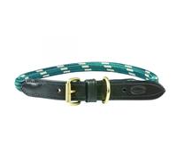 WeatherBeeta - Laisse - Chien (M) (Vert/marron)
