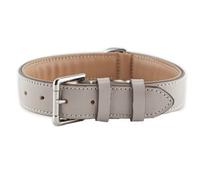 Collier pour Chien en Cuir - Gris Clair - XXL - 66-73 cm
