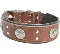 Collier pour Chien en Cuir Véritable Renforcé, Large 4 cm, Doublure Molletonnée, Boucle en Acier, Personnalisé pour Grands Chiens