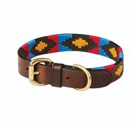 Collier pour chien en cuir Weatherbeeta Polo Marron XS