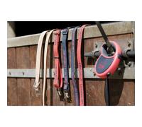 Collier pour chien en nylon Diego & Louna Rouge 40 cm x 2 cm