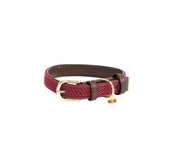 Collier pour chien en nylon tressé Kentucky Rouge L