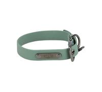 TRIXIE Collier pour Chien CityStyle L - Tour de Cou 45-52 cm/25 mm - Sauge - Collier en PVC de qualité supérieure pour Grands Chiens - Réglable - Imperméable et Facile à Nettoyer - 1971719