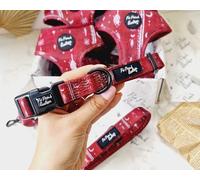 Collier pour Chien en Titane Rouge S