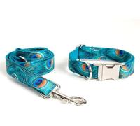 Collier pour Chien， Ensemble Laisse et for Chien avec poignée à Joint torique, Collier réglable Doux, Facile Nettoyer, Boucle dégagement Rapide(Cyan,Medium)