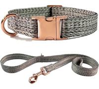 Collier pour Chien, et Ensemble de Laisse 4,9 Pieds, Base réglable avec Boucle en métal Robuste(Grey,Large)