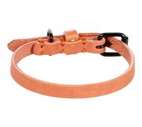 Collier pour chien Flamingo Leano Marron 21/26 cm x 10x4 mm