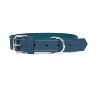 Collier pour Chien Gloria Oasis Bleu (50 x 2,1 cm)