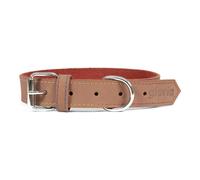 Collier pour Chien Gloria Oasis Marron (50 x 2,1 cm)
