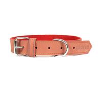 Collier pour Chien Gloria Oasis Rouge (65 x 3 cm)