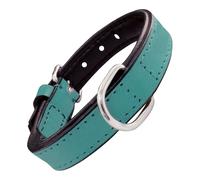 Collier pour Chien Gloria Rembourré Turquoise (50 x 2,5 cm)