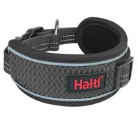 Collier pour Chien Halti Anatomie | Taille XS, Gris