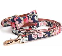 Collier pour Chien Hardy Collier et Laisse personnalisés for Chien, Collier Fantaisie Bleu avec nœud Papillon et Boucle en métal, Colliers Tendance for Chiots(L)