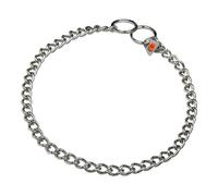 Collier pour Chien Hs Sprenger Argenté 2,5 mm Maillons Torsadé (45 cm)