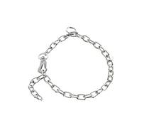 Collier pour Chien Hs Sprenger Argenté 3 mm Maillons Court 45 cm Argent